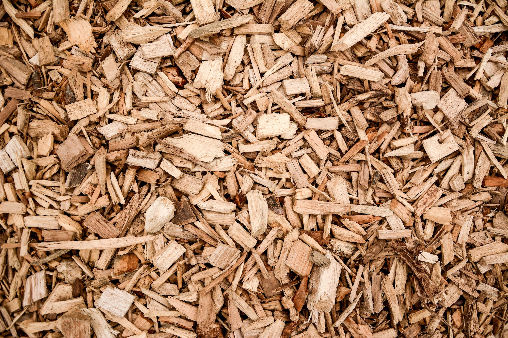 Closeup shot of wood chippings